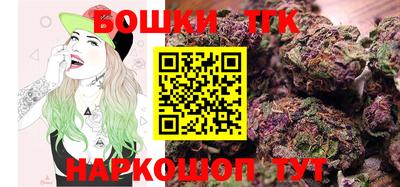 индика Дубна