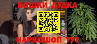 индика Дубна
