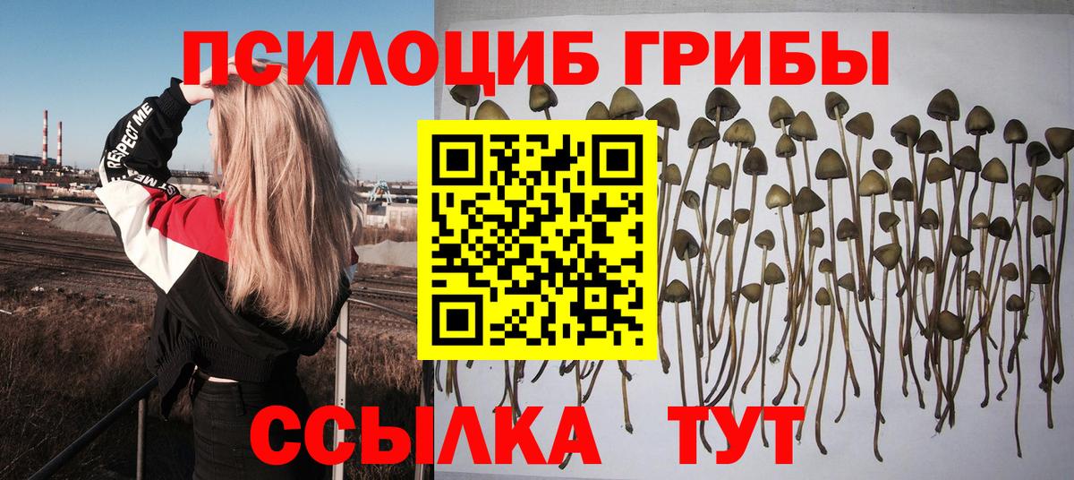 НБОМе  Экстази  ГАШИШ  Лсд 25  Где купить наркотики?  Меф МЯУ МЯУ   Вход с VPN  Чусовой  Бошки Шишки  MDMA 