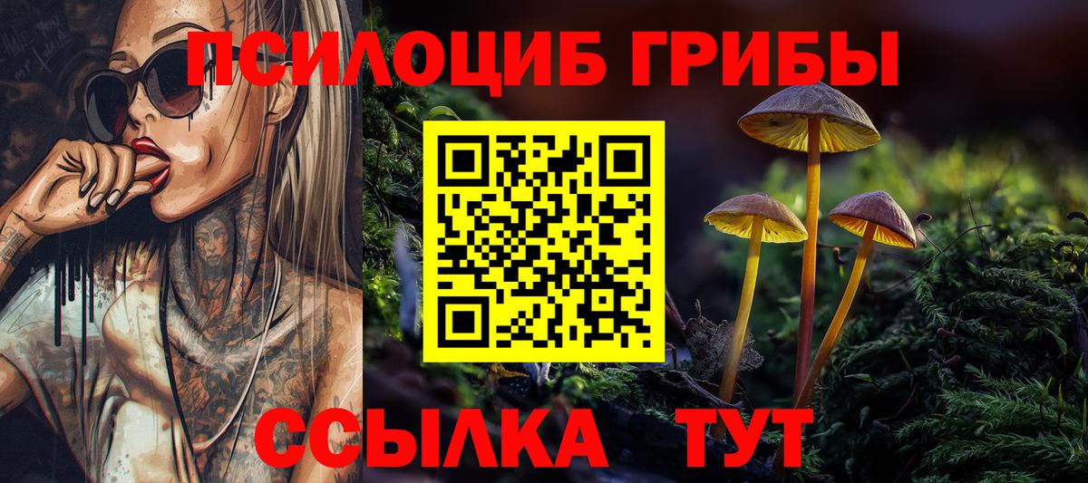 Псилоцибиновые грибы Psilocybe Чусовой