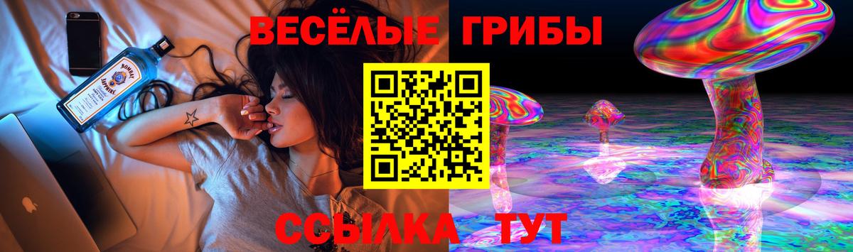 Псилоцибиновые грибы Psilocybe  Псилоцибиновые грибы Cubensis  Вход с VPN  Чусовой 